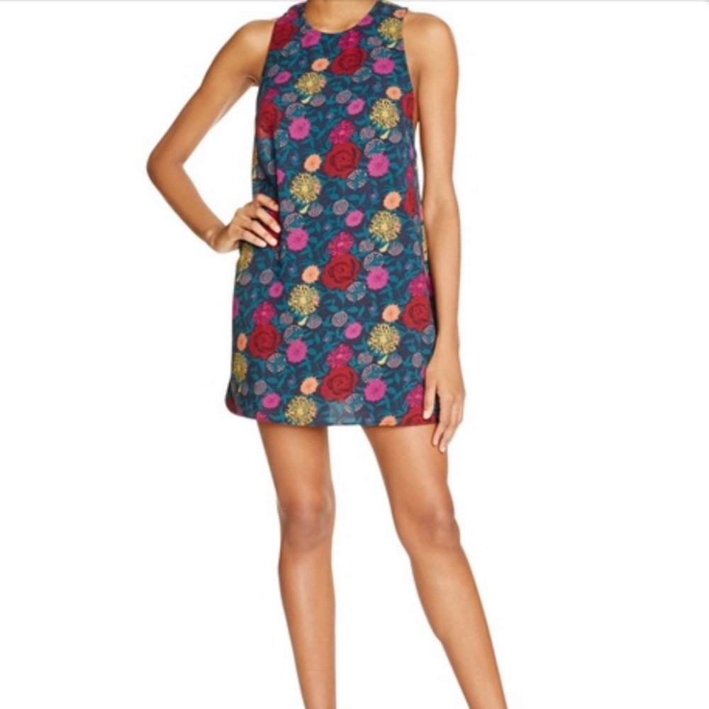 American Apparel floral patterned dress